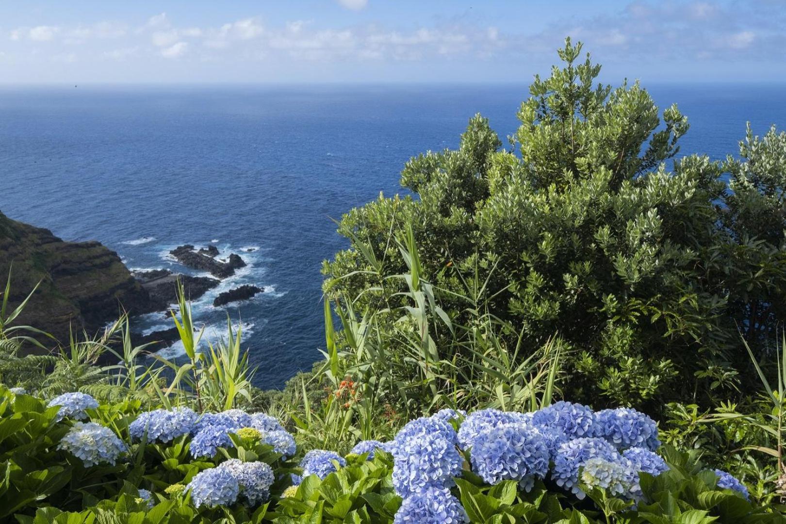 Welcomebuddy - Casa Do Moinho Garden & Sea Retreat Otel Ponta Delgada Dış mekan fotoğraf